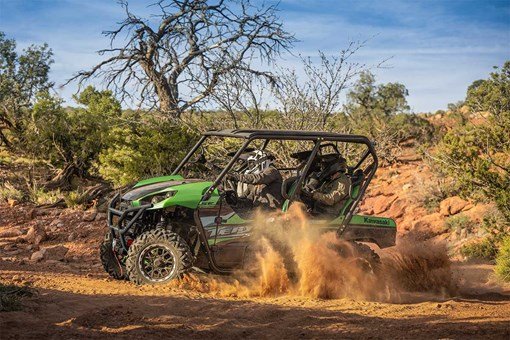 2025 Kawasaki TERYX4 S LE image 9