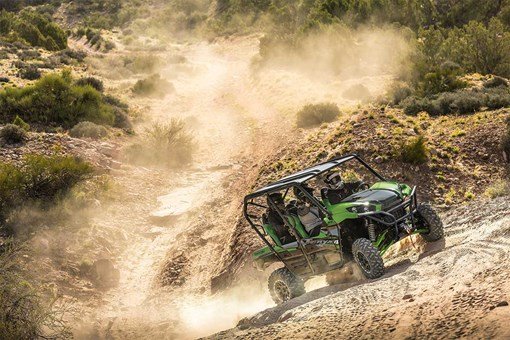 2025 Kawasaki TERYX4 S LE image 10
